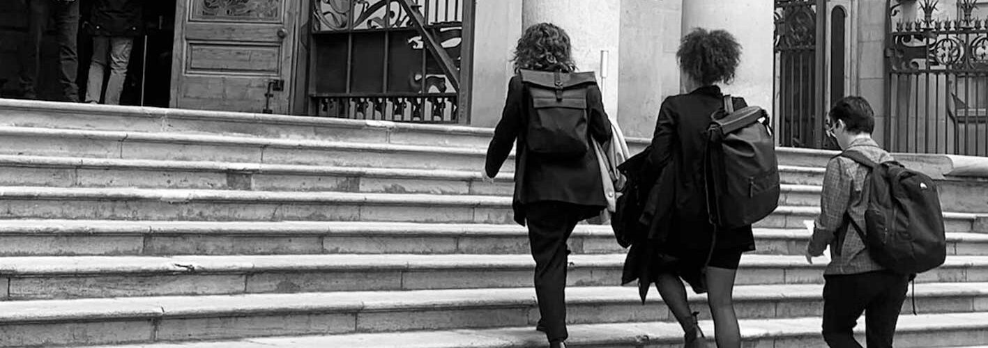 Formació Litigi estratègic Formació Litigi estratègic