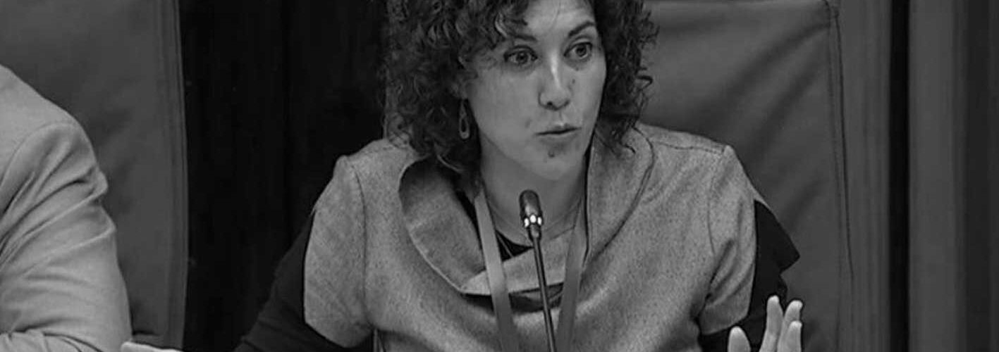 Formació Incidència Política Formació Incidència Política